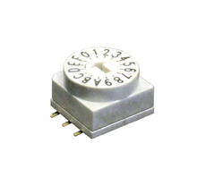 RD10RA16CGT Image.