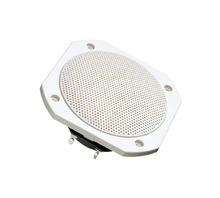 FRS 10 WP - 8 OHM (WHITE) Image.